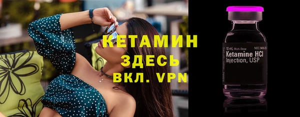 индика Карпинск